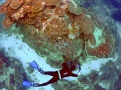Australia Announces $379 Million Funding For Great Barrier Reef