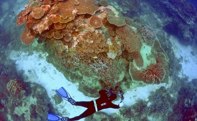 Australia Announces $379 Million Funding For Great Barrier Reef