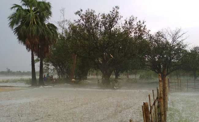 200 Houses Collapse As Thunderstorm Hits Bengal's Nadia