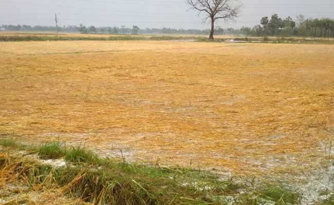 Hailstorm Likely In Vidarbha, Parts Of Maharashtra In Next 2 Days