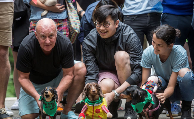 Hong Kong "Doggie Dash" Raises Funds For Abandoned Pooches