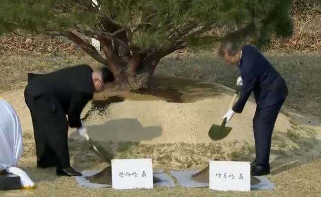 North Korea's Kim, South Korea's Moon Plant Tree For Peace At Border