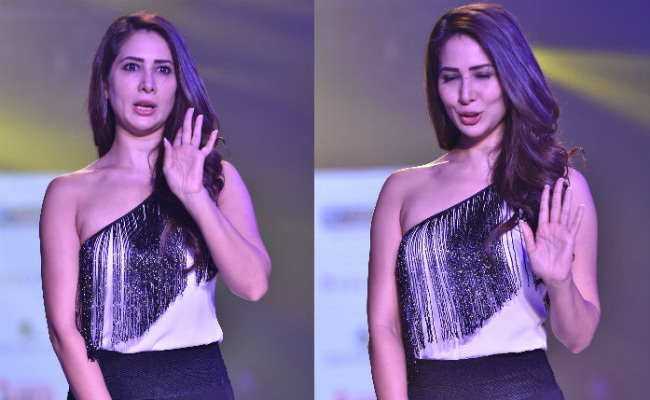 Kim Sharma, Is That Your Range Rover? Apparently Not, Alleges Rajasthan Businessman