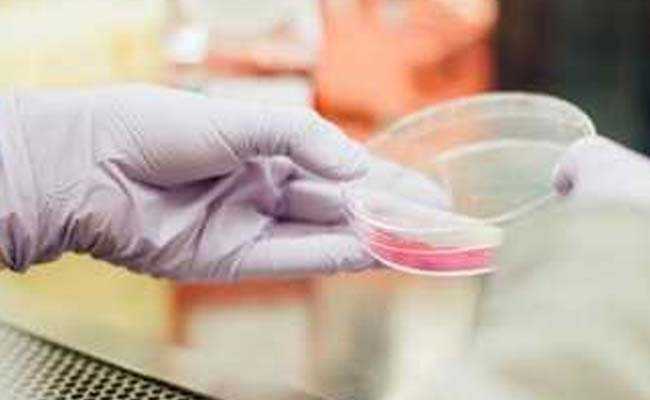 Bill That Seeks To Set Up DNA Banks On Centre's Agenda Tomorrow