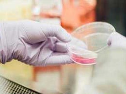 Deadly Anthrax Pneumonia Case In China, Patient Under Treatment: Report Deadly Anthrax Pneumonia Case In China, Patient Under Treatment: Report