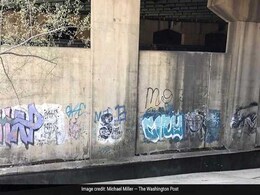 She Helped Rescue Young Men From MS-13. Then She Covered Up A Gang Murder She Helped Rescue Young Men From MS-13. Then She Covered Up A Gang Murder