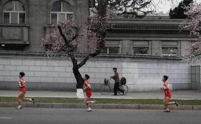 Loneliness Of The Long Distance Runners In North Korea