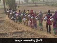A Long Walk To Water For Odisha's Rural Women