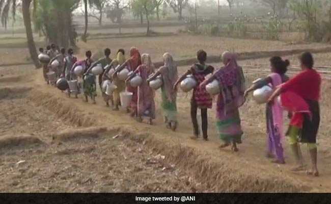 A Long Walk To Water For Odisha's Rural Women