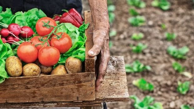 organic food health benefits