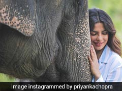 Priyanka Chopra Reminds Us Why Assam Should Be On Our Travel Lists This Year