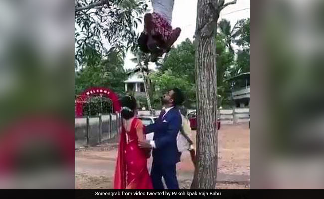 Viral Video: पर्फेक्‍ट शॉट लेने के लिए पेड़ से उल्‍टा लटक गया फोटोग्राफर, बन गया इंटरनेट सेंसेशन