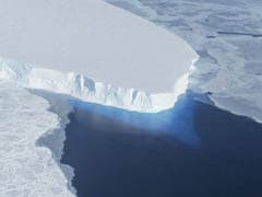 UK, US Study Antarctic Glacier, Hoping To Crack Sea Level Risks