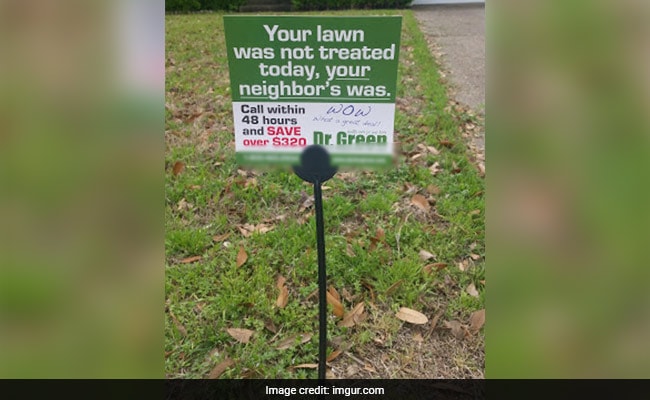 They Shamed Him For Overgrown Lawn. Then, Thousands Avenged Him