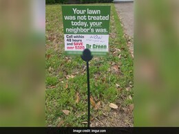 They Shamed Him For Overgrown Lawn. Then, Thousands Avenged Him They Shamed Him For Overgrown Lawn. Then, Thousands Avenged Him