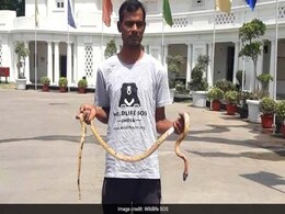 5-Foot Snake "Chills" In Delhi Assembly, Rescued From Air Cooler 5-Foot Snake "Chills" In Delhi Assembly, Rescued From Air Cooler