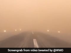 Watch: Runway Barely Visible, Pilot Lands Plane During Sandstorm