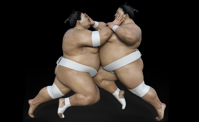 Female best sale sumo wrestler