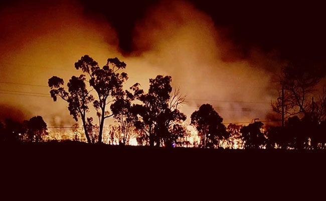 Thousands ordered to evacuate as Australian bushfires burn