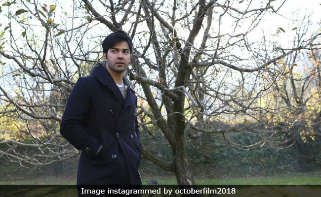 <i>October</i> Box Office Collection Day 3: Varun Dhawan's Film Collects Rs 20 Crore, Needs To 'Maintain Pace'