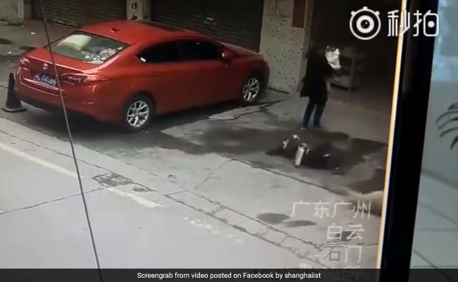 Woman Left Unconscious After Dog Falls On Her. Watch Shocking Video