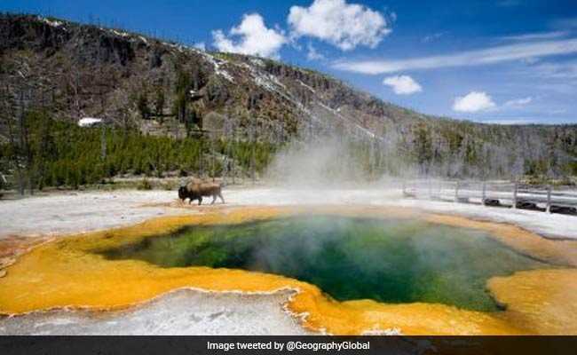 yellowstone twitter