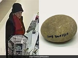 Woman Walks Out Of Museum Holding A Rock. Turns Out, It's Worth 11 Lakhs Woman Walks Out Of Museum Holding A Rock. Turns Out, It's Worth 11 Lakhs