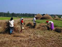 कृषि मंत्रालय ने माना, नोटबंदी का किसानों पर पड़ा बुरा असर