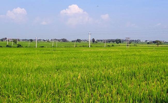 Karnataka Plans Major Relaxations In Who Can Buy Agricultural Land