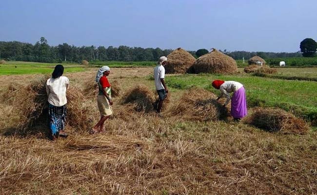 कृषि मंत्रालय ने माना, नोटबंदी का किसानों पर पड़ा बुरा असर