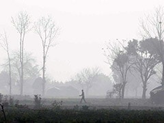 West Bengal Pollution Body To Set Up More Monitoring Stations In Kolkata