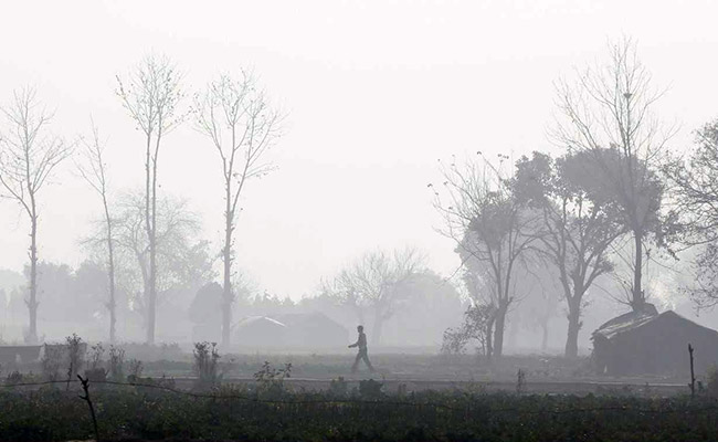 Concerned About India, It Should Follow China On Anti-Pollution Steps: WHO