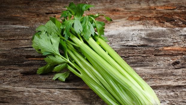 celery