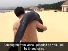 Chinese Man Slings Dying Dolphin Over His Shoulder In Bizarre Video