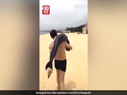 Chinese Man Slings Dying Dolphin Over His Shoulder In Bizarre Video Chinese Man Slings Dying Dolphin Over His Shoulder In Bizarre Video