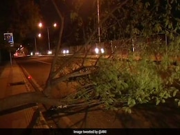Storm Fear Fades, Light Rain Likely In Delhi And Suburbs: 10 Points Storm Fear Fades, Light Rain Likely In Delhi And Suburbs: 10 Points