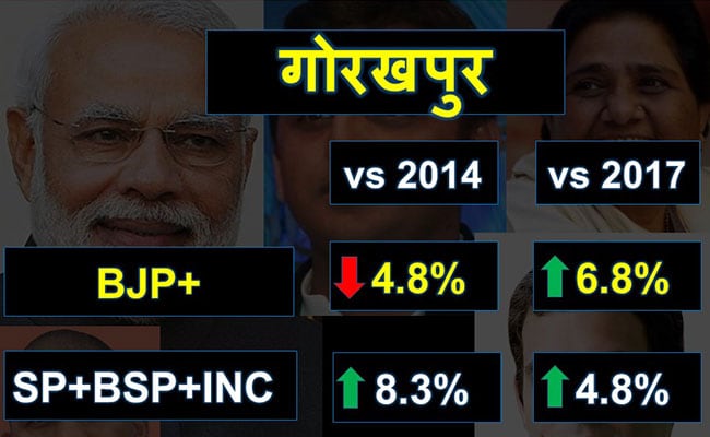 election