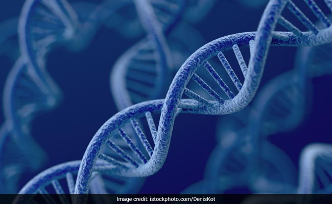 Genetic Testing: Know All About The Importance Of Genetic Testing