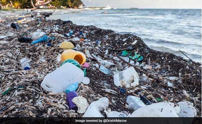 In 16 Months, Nearly 20 Lakh kg Of Garbage Collected From Goa Beaches