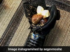 Netanyahu Puts Wrong Foot Forward By Serving Japan's Abe Dessert In A Shoe