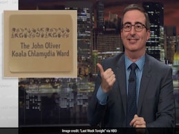 John Oliver Has Koala Chlamydia Ward Named After Him - Thanks To Russell Crowe John Oliver Has Koala Chlamydia Ward Named After Him - Thanks To Russell Crowe