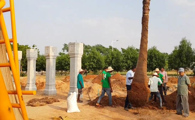 kanha shantivanam trees