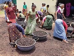 Here's Why Nearly 3 Lakh People, Mostly Women, Have Lost Jobs In Kerala