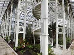 Giant London Glasshouse Opens, Large Enough To Fit 3 Jumbo Jets