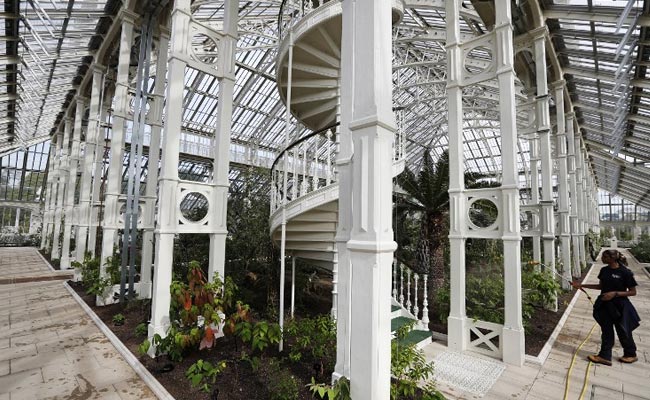 Giant London Glasshouse Opens, Large Enough To Fit 3 Jumbo Jets