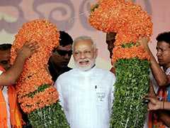 With Tulsi Plants, Supporters Seek Divine Help For PM Modi In Karnataka
