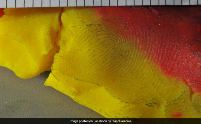 Thief Covers Security Alarm With Clay, Leaves Behind His Fingerprint