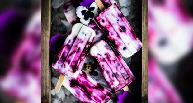 Blueberry Coconut Popsicles