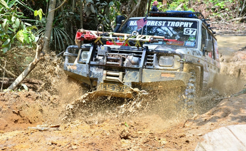 rainforest trophy 2018