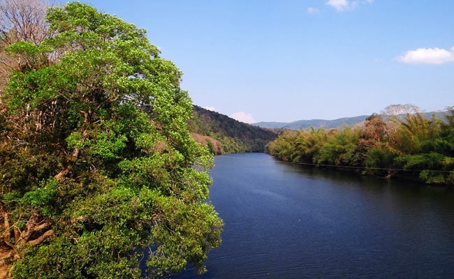 Man Arrested For Drowning 3 Minor Daughters In Lake In Telangana: Cops